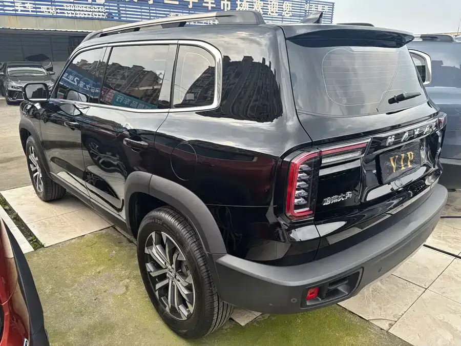 Haval Big dog Haval Big Dog 2022 1.5T DCT 2WD Border Collie Edition 2023 — миниатюра 4