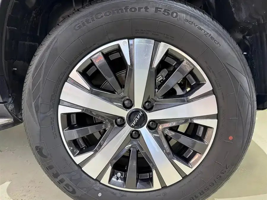 Haval Big dog Haval Big Dog 2021 1.5T DCT 2WD Labrador Edition 2022 — миниатюра 4