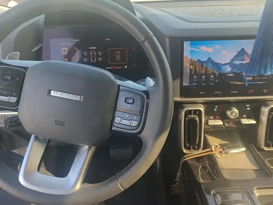 Haval Big dog Haval Big Dog 2021 1.5T DCT 2WD Border Collie Edition 2022 — миниатюра 4