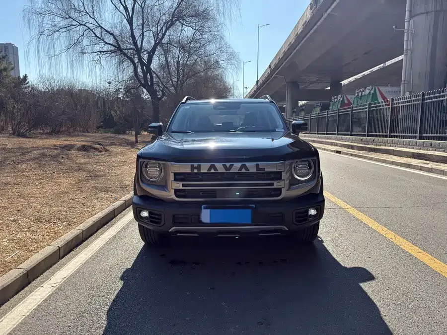 Haval Big dog Haval Big Dog 2024 1.5T DCT Border Collie Edition 2025 — фото 1, купить с доставкой в Москву