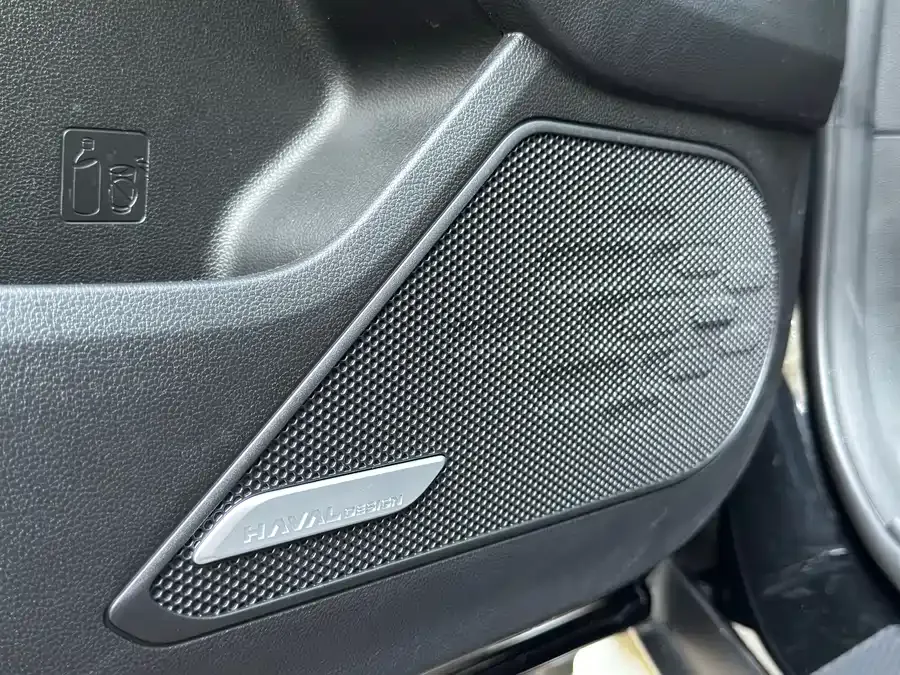 Haval Big dog Haval Big Dog 2024 1.5T DCT Border Collie Edition 2025 — миниатюра 4