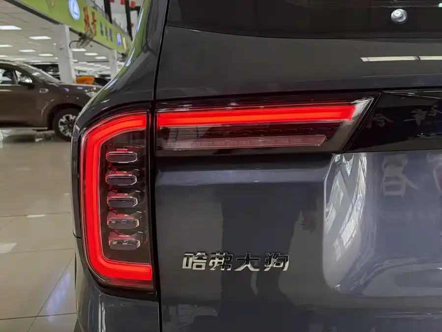 Haval Big dog Haval Big Dog 2021 1.5T DCT 2WD Border Collie Edition 2022 — миниатюра 4