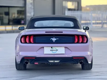 Ford Mustang Avant 2023 — миниатюра 2