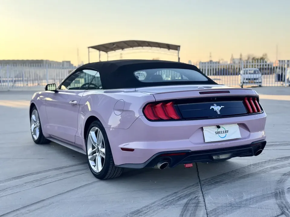 Ford Mustang Avant 2023 — миниатюра 4