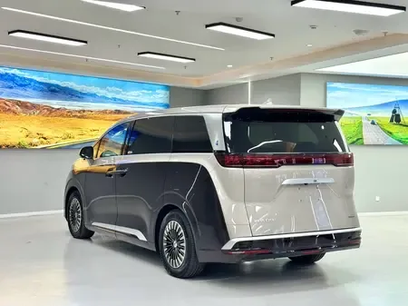 Denza D9 DM BYD D9 DM 2023 PREMIER Founder Edition 2024 — миниатюра 2