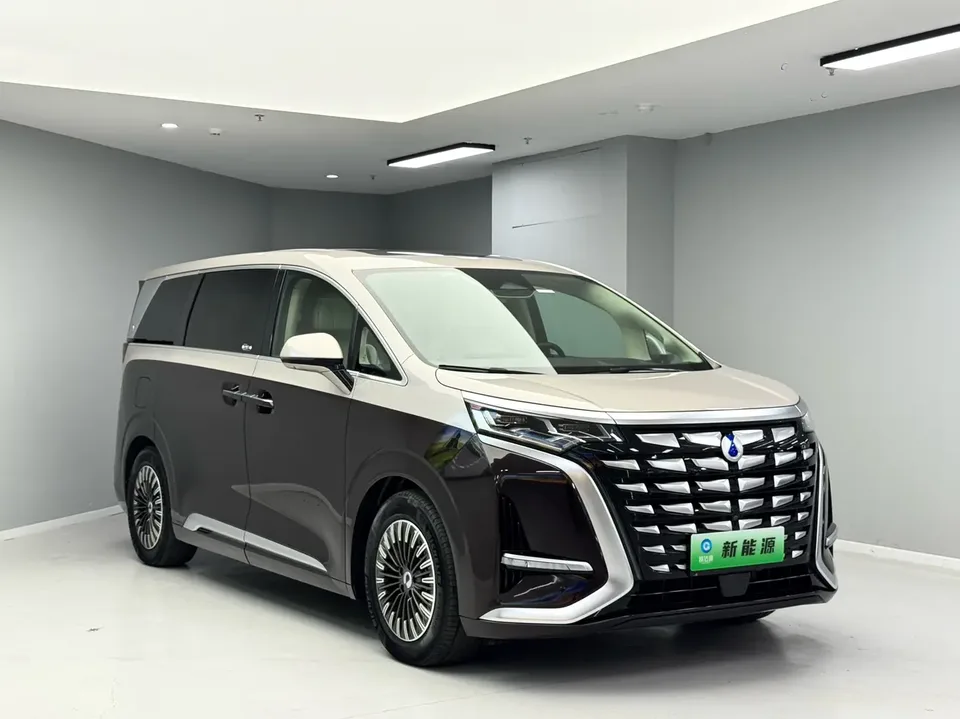 Denza D9 DM BYD D9 DM 2023 PREMIER Founder Edition 2024 — миниатюра 3