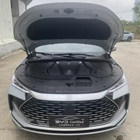 BYD Tang DM Tang DM 2026 low-profile version 2025 — миниатюра 2