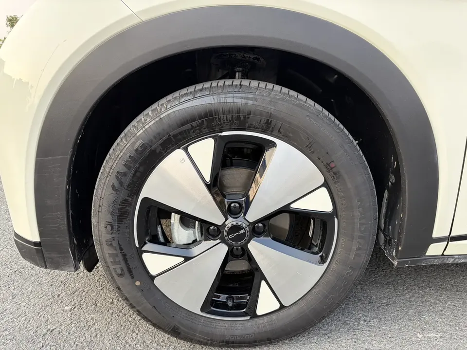 BYD Dolphin Dolphin 2023 Fashion Edition 2024 — миниатюра 2