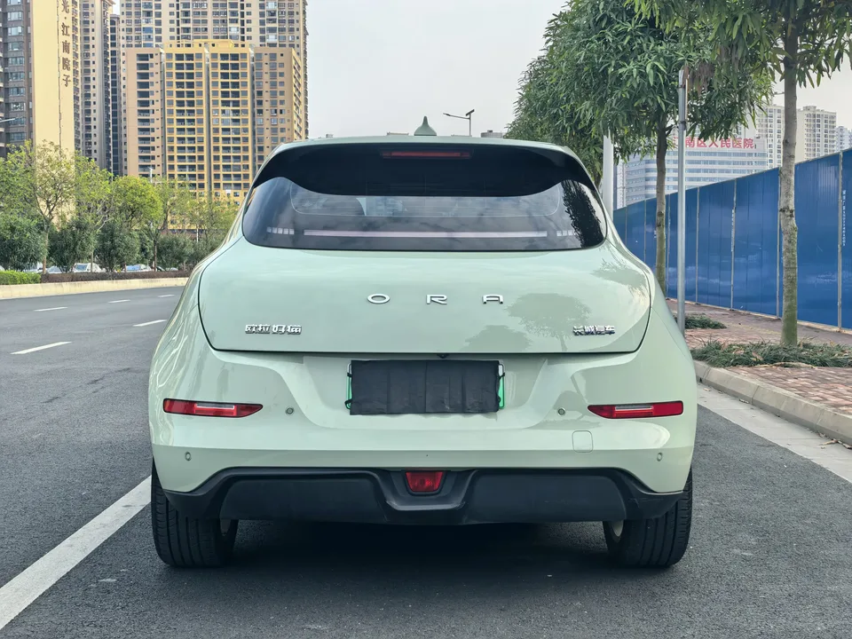 ORA Euler good cat 401km standard range luxury lithium iron phosphate 2024 — миниатюра 2