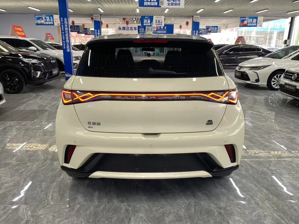 BYD Dolphin Dolphin 2023 Free Edition 2024 — миниатюра 2
