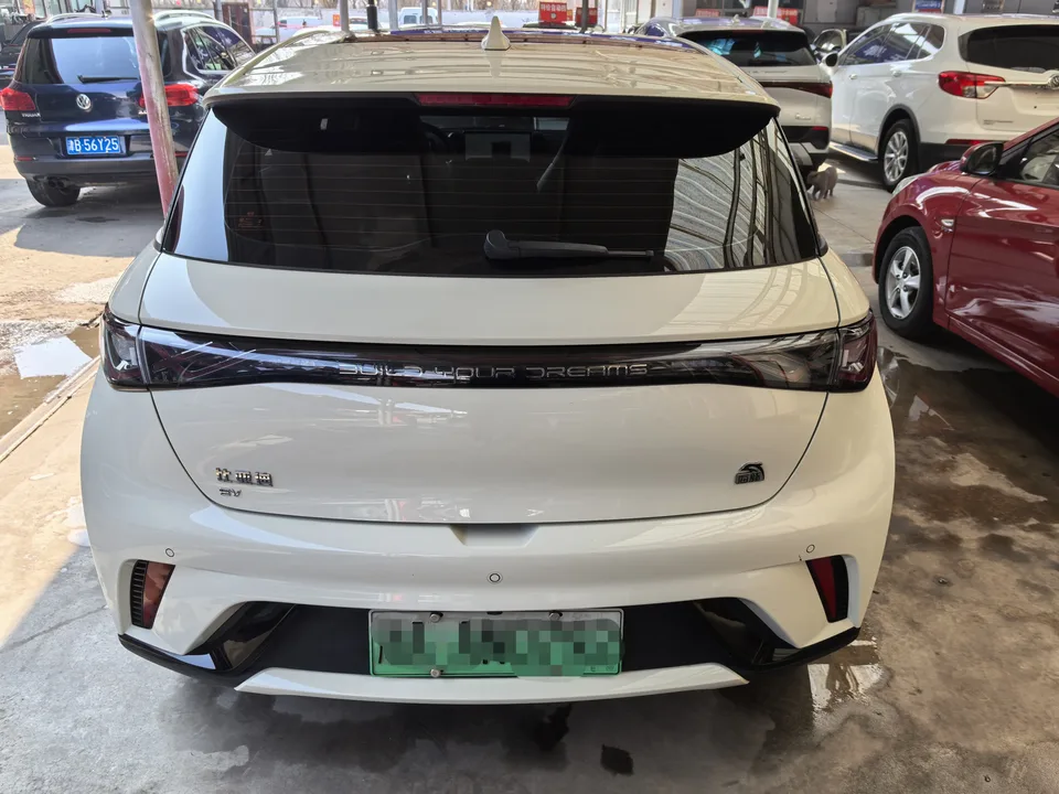 BYD Dolphin Dolphin 2023 Fashion Edition 2023 — миниатюра 2