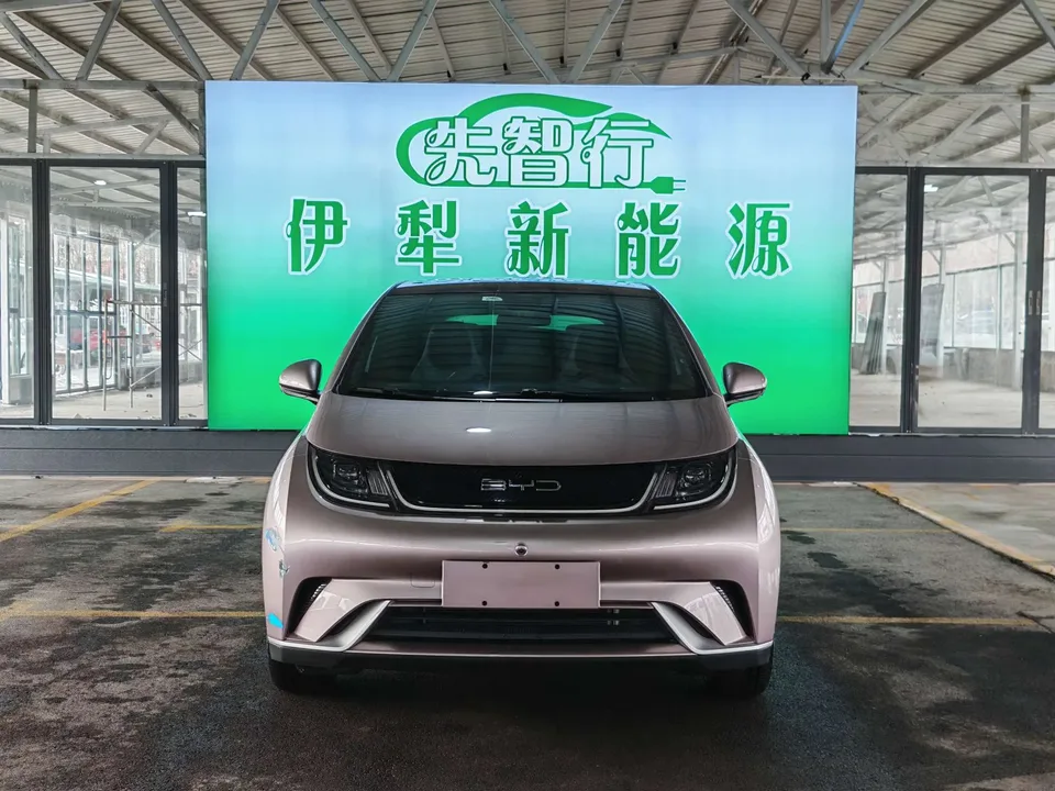 BYD Dolphin Fashion Edition 2022 — миниатюра 2