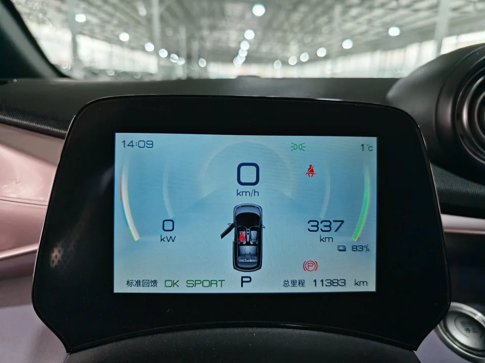 BYD Dolphin Fashion Edition 2022 — миниатюра 4