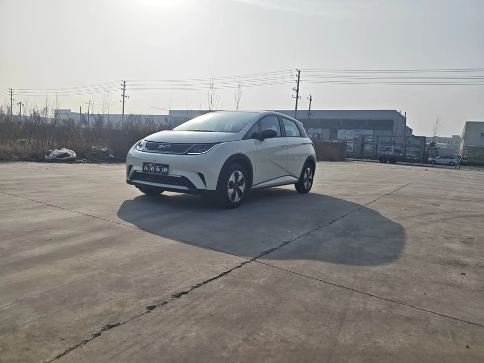 BYD Dolphin Dolphin 2025 420KM Freedom Edition 2025 — фото 1, купить с доставкой в Москву