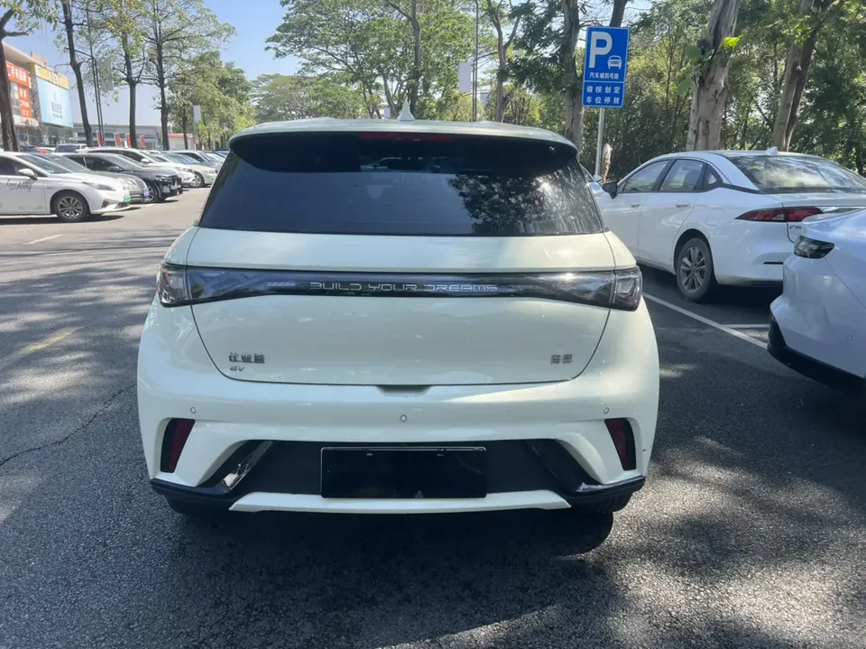 BYD Dolphin Dolphin 2025 420KM Vitality Edition 2025 — миниатюра 2
