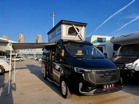 Ford Toureo Tourneo 2.0T Automatic Front-Wheel Drive 6-Seater Factory Custom Edition 2025 — миниатюра 3