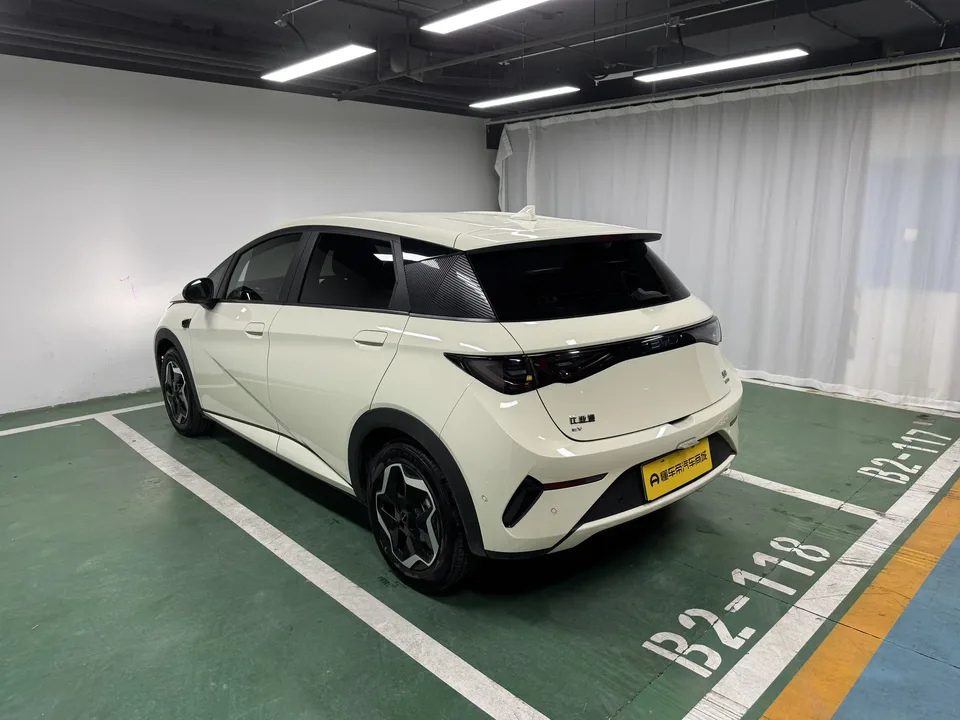 BYD Dolphin Smart Driving Edition 420KM Freedom Edition 2025 — миниатюра 2