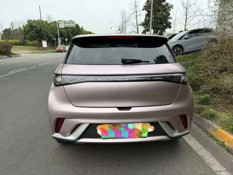 BYD Dolphin Dolphin 2023 Fashion Edition 2023 — миниатюра 2