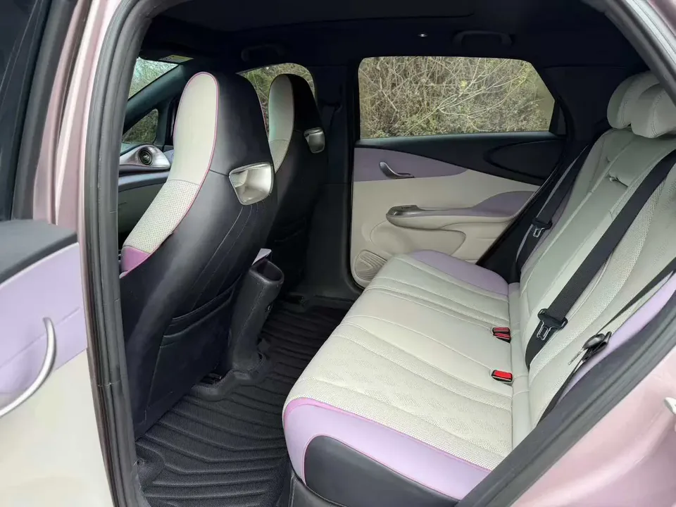 BYD Dolphin Dolphin 2023 Fashion Edition 2023 — миниатюра 3