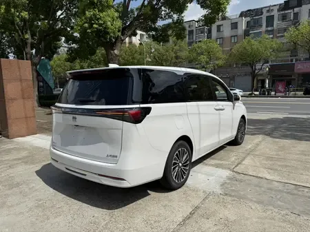 Buick GL8 2.0T Automatic Front-Wheel Drive 7-Seater Factory Custom Edition 2025 — миниатюра 2