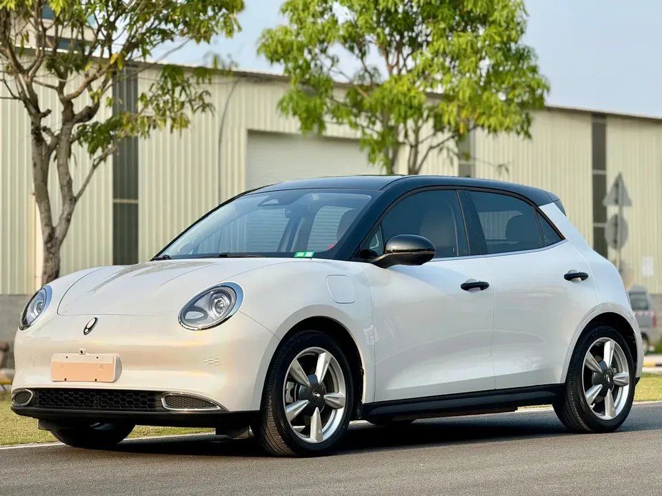 ORA Euler good cat 401km standard range premium ternary lithium model 2023 — фото 1, купить с доставкой в Москву