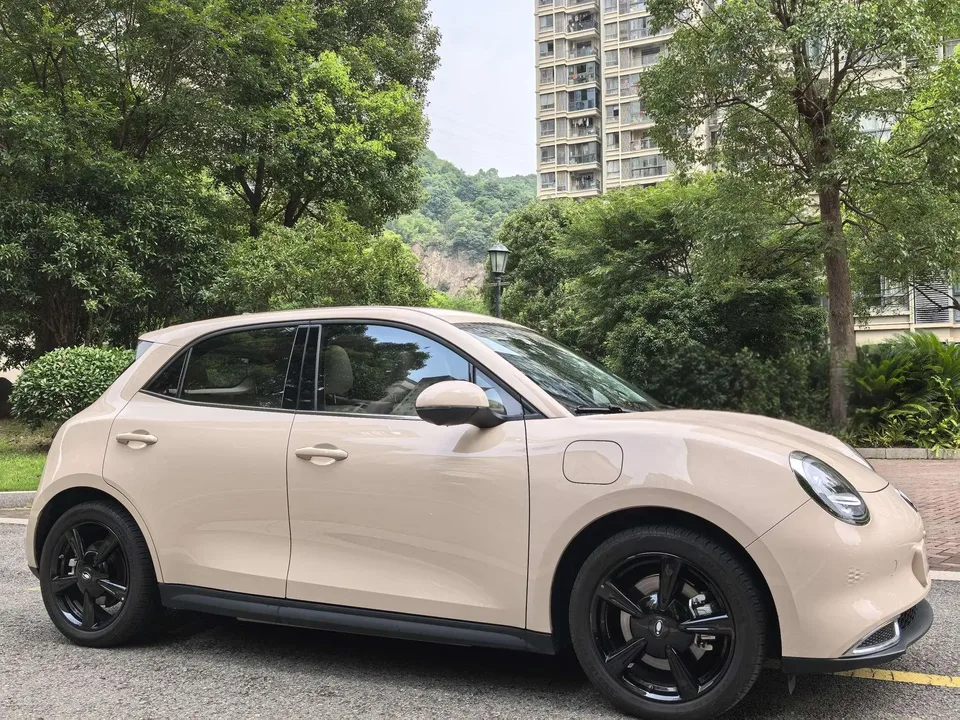 ORA Euler good cat 401km Luxury Model 2025 — миниатюра 2