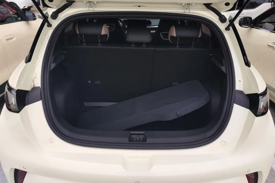 BYD Dolphin Dolphin 2023 Fashion Edition 2024 — миниатюра 4