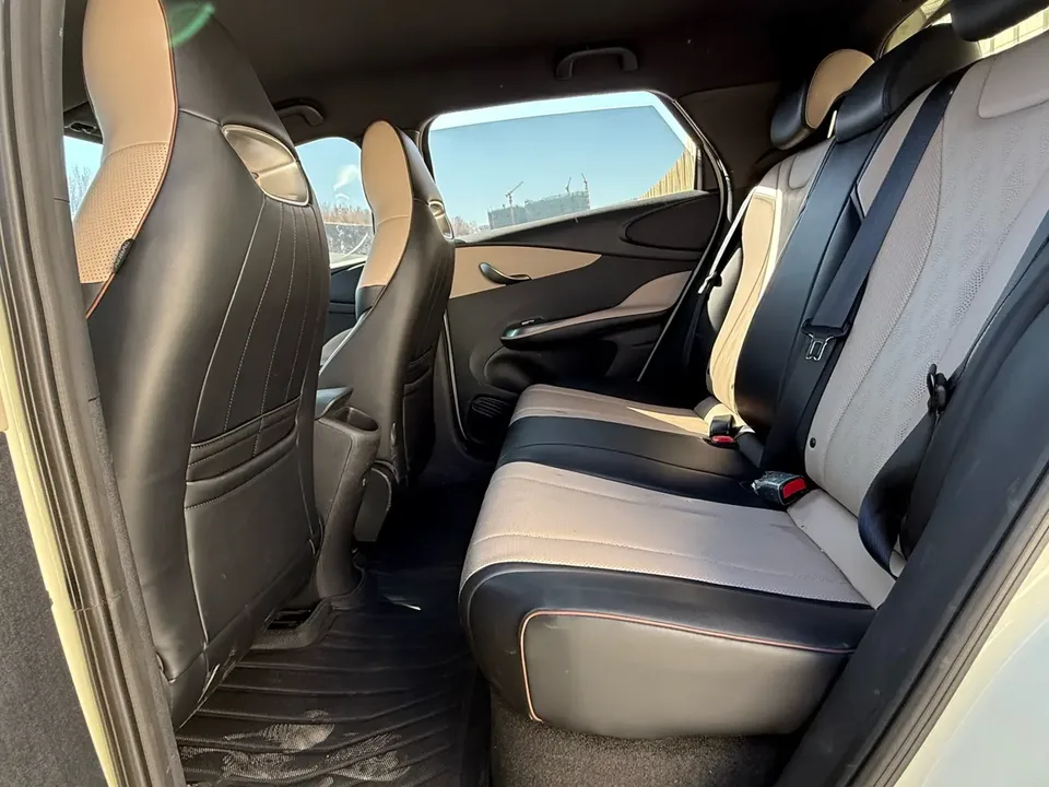 BYD Dolphin Honor Edition 420km Free Edition 2024 — миниатюра 3