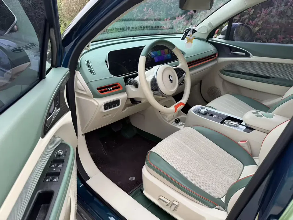 ORA Euler good cat Morandi Edition 400km Standard Range Premium Lithium Iron Phosphate 2022 — миниатюра 3