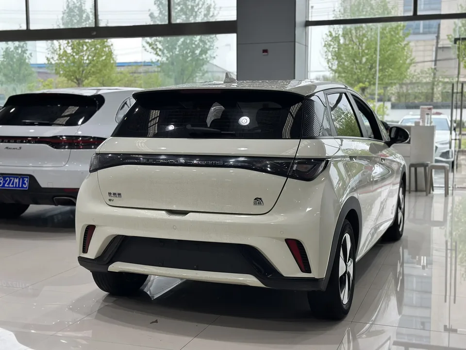 BYD Dolphin Dolphin 2023 Free Edition 2024 — миниатюра 2