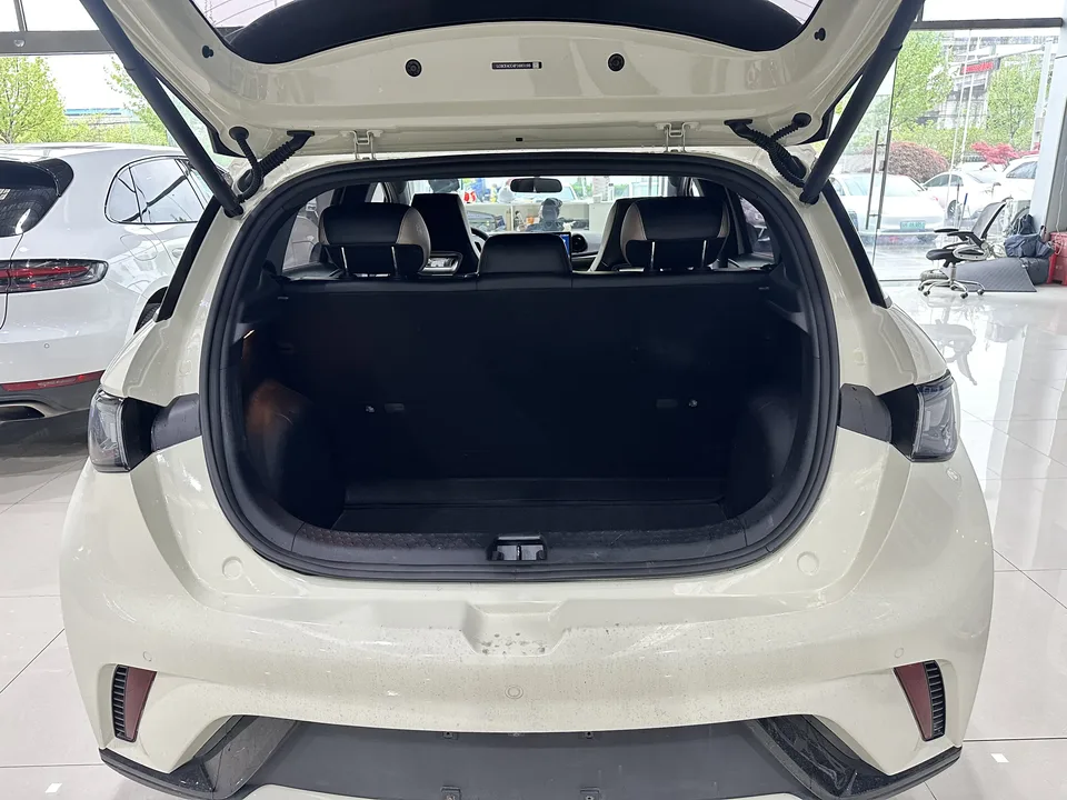 BYD Dolphin Dolphin 2023 Free Edition 2024 — миниатюра 4