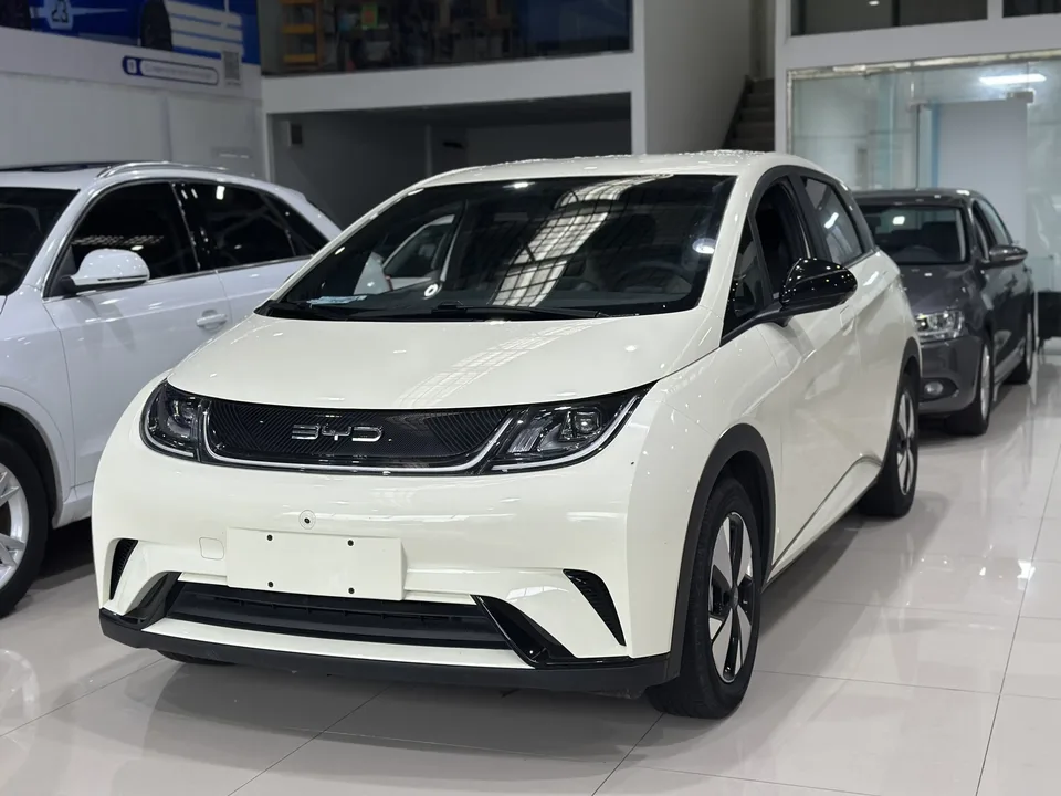 BYD Dolphin Dolphin 2023 Free Edition 2024 — фото 1, купить с доставкой в Москву