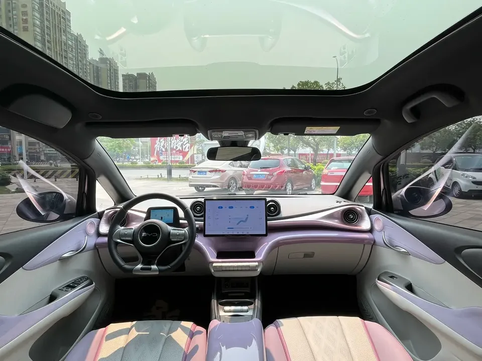 BYD Dolphin Honor Edition 420km Fashion Edition 2024 — миниатюра 5
