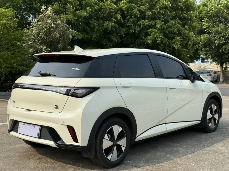 BYD Dolphin Dolphin 2023 Free Edition 2023 — миниатюра 2