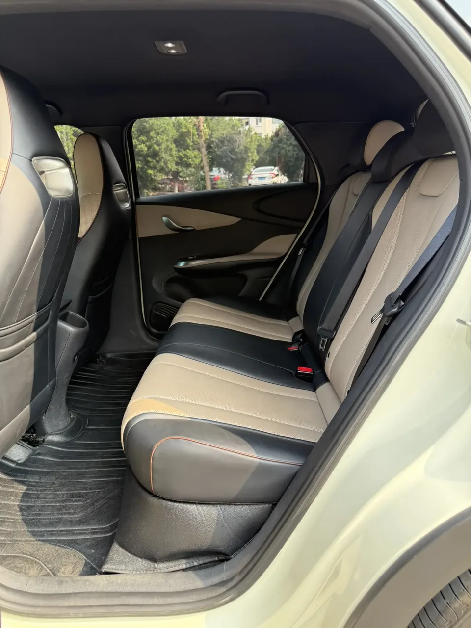 BYD Dolphin Dolphin 2023 Free Edition 2023 — миниатюра 3