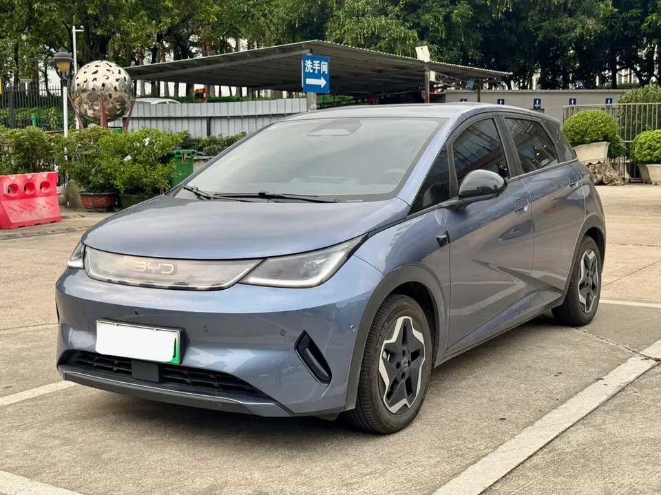 BYD Dolphin Smart Driving Edition 420KM Freedom Edition 2025 — фото 1, купить с доставкой в Москву