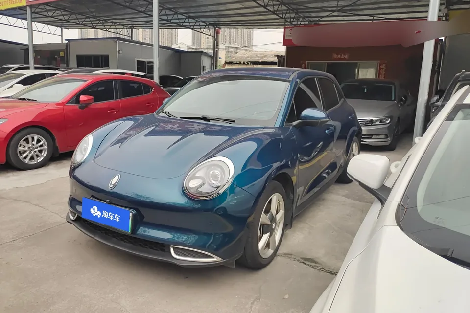 ORA Euler good cat 400km standard range luxury ternary lithium model 2023 — фото 1, купить с доставкой в Москву