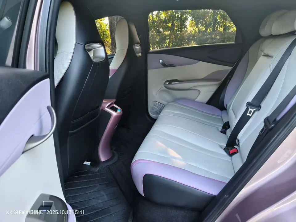 BYD Dolphin Dolphin 2023 Fashion Edition 2023 — миниатюра 3