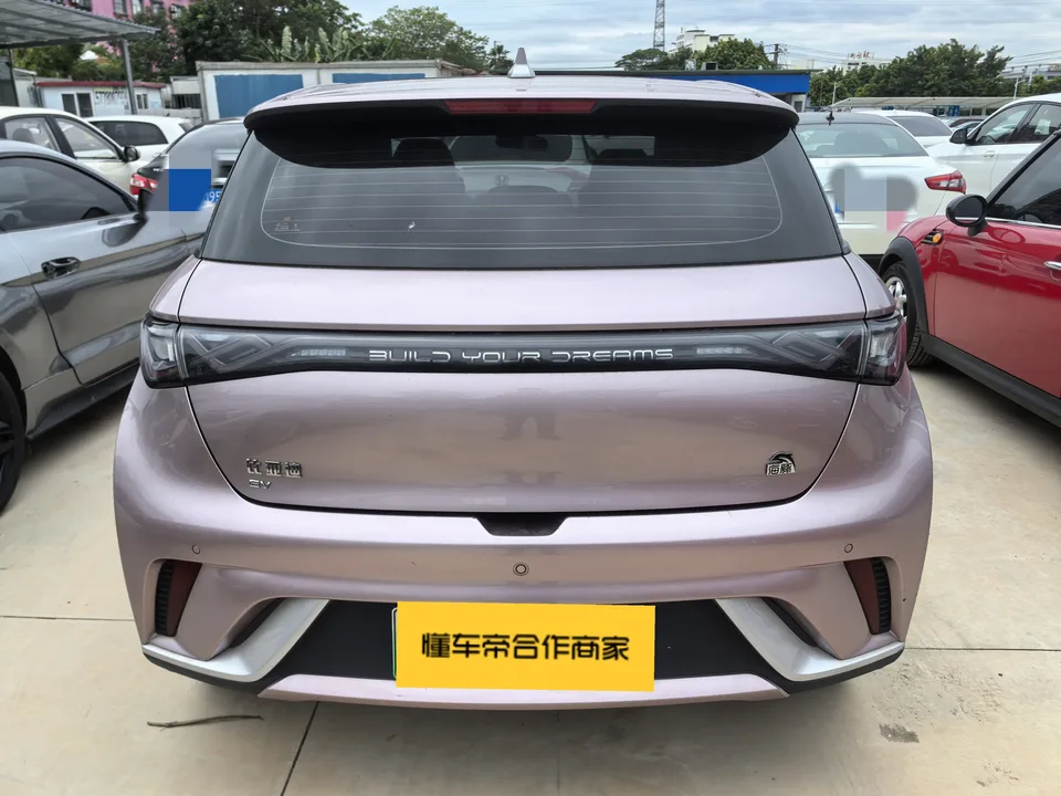 BYD Dolphin Fashion Edition 2022 — миниатюра 2