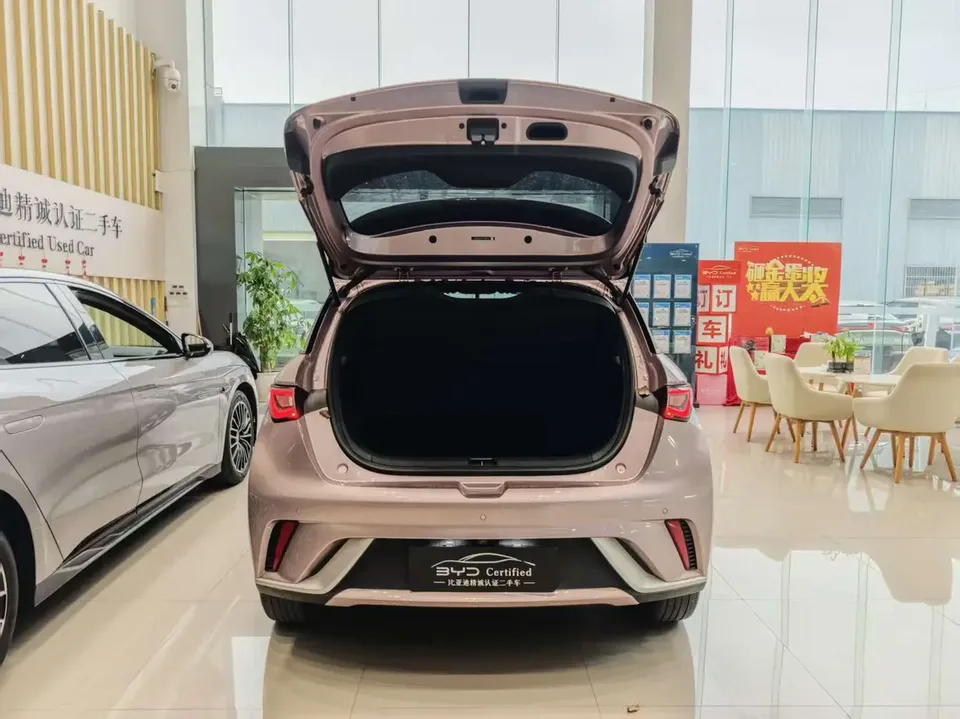 BYD Dolphin Dolphin 2023 Free Edition 2023 — миниатюра 3