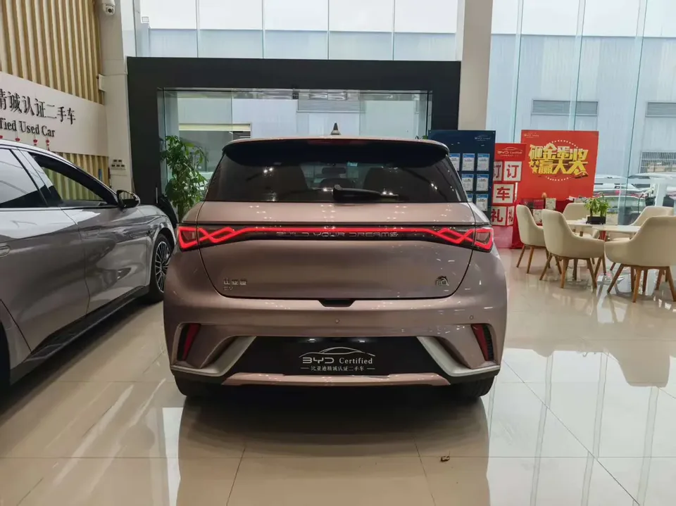 BYD Dolphin Dolphin 2023 Free Edition 2023 — миниатюра 5