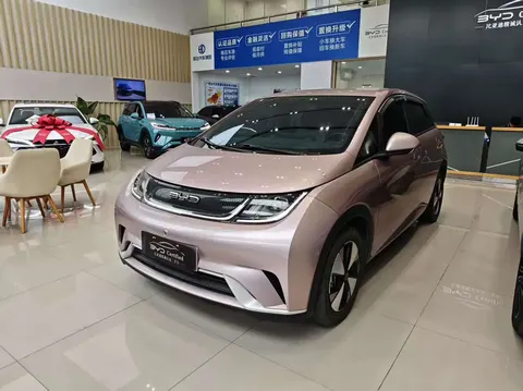 BYD Dolphin 2023 buy in Moscow