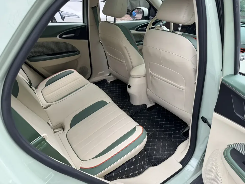 ORA Euler good cat Morandi Edition 400km Standard Range Premium Lithium Iron Phosphate 2022 — миниатюра 3