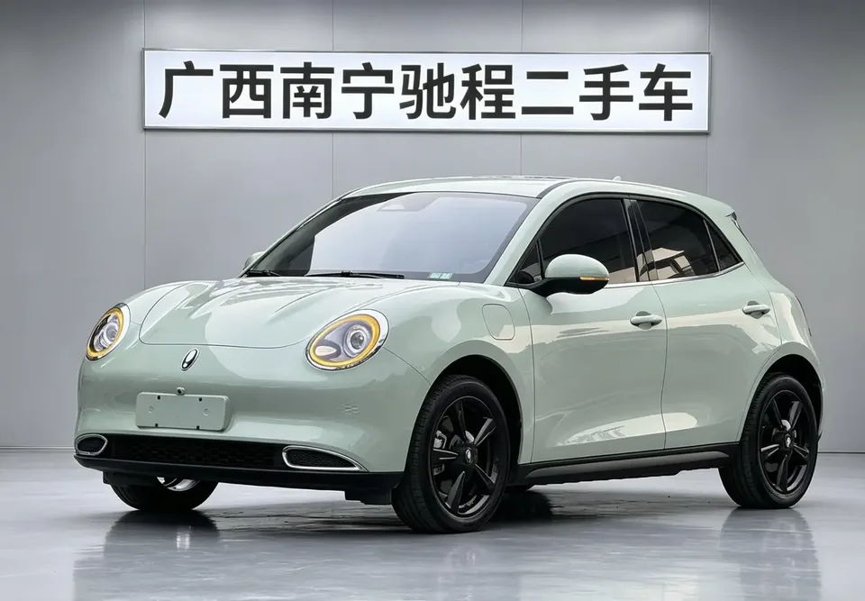 ORA Euler good cat 401km Luxury Model 2024 — фото 1, купить с доставкой в Москву