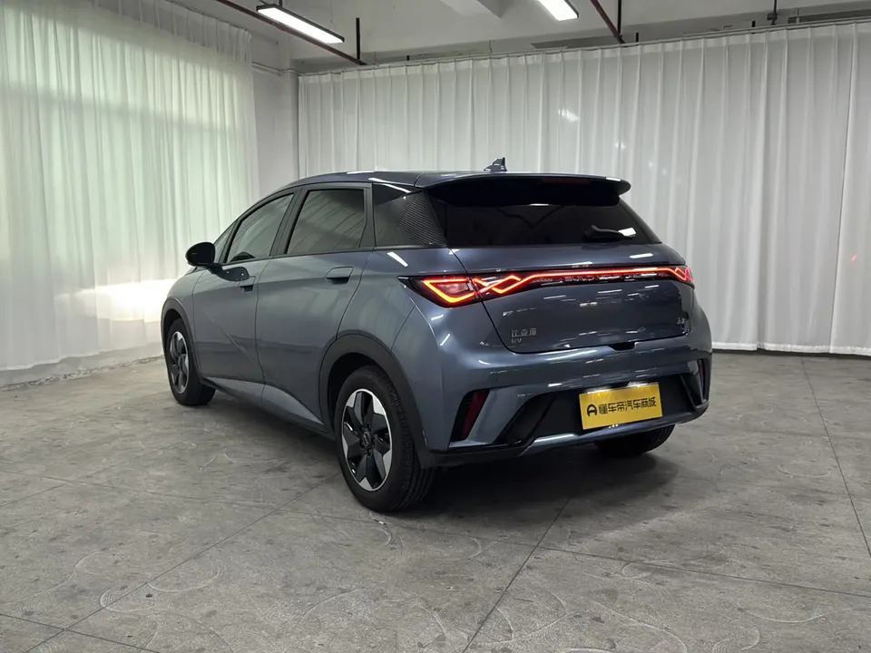 BYD Dolphin Dolphin 2025 420KM Fashion Edition 2024 — миниатюра 2
