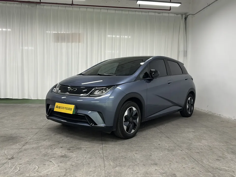 BYD Dolphin Dolphin 2025 420KM Fashion Edition 2024 — фото 1, купить с доставкой в Москву