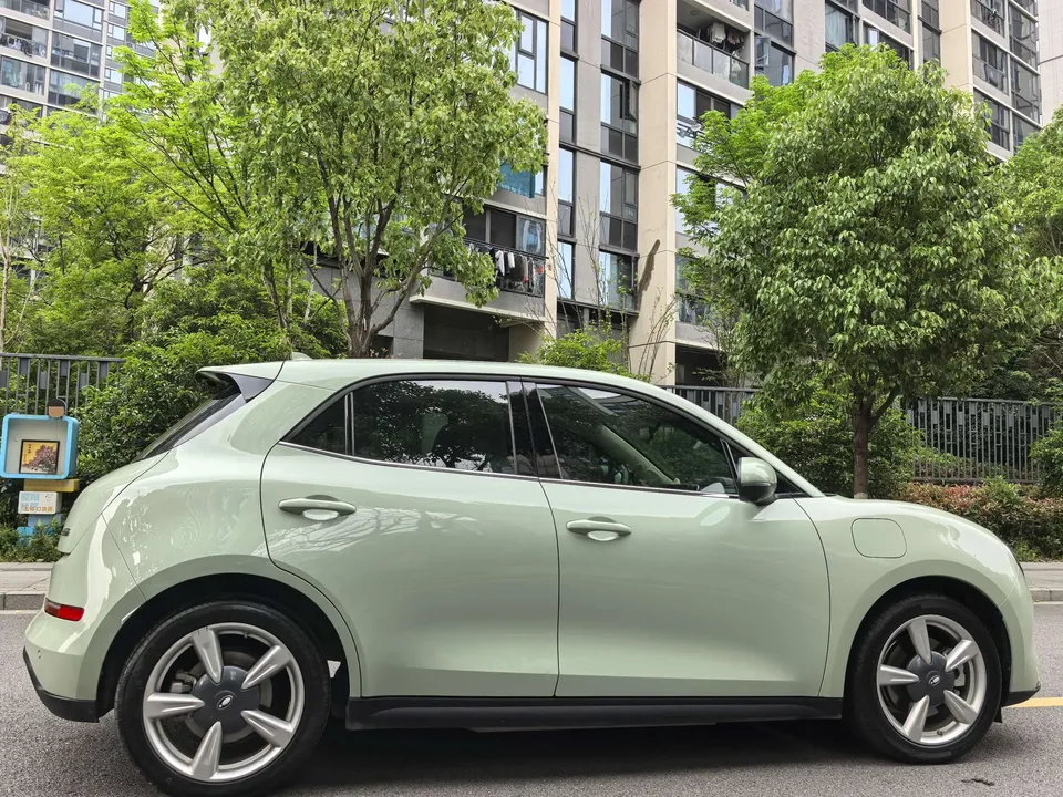 ORA Euler good cat 401km standard range luxury lithium iron phosphate 2023 — миниатюра 2