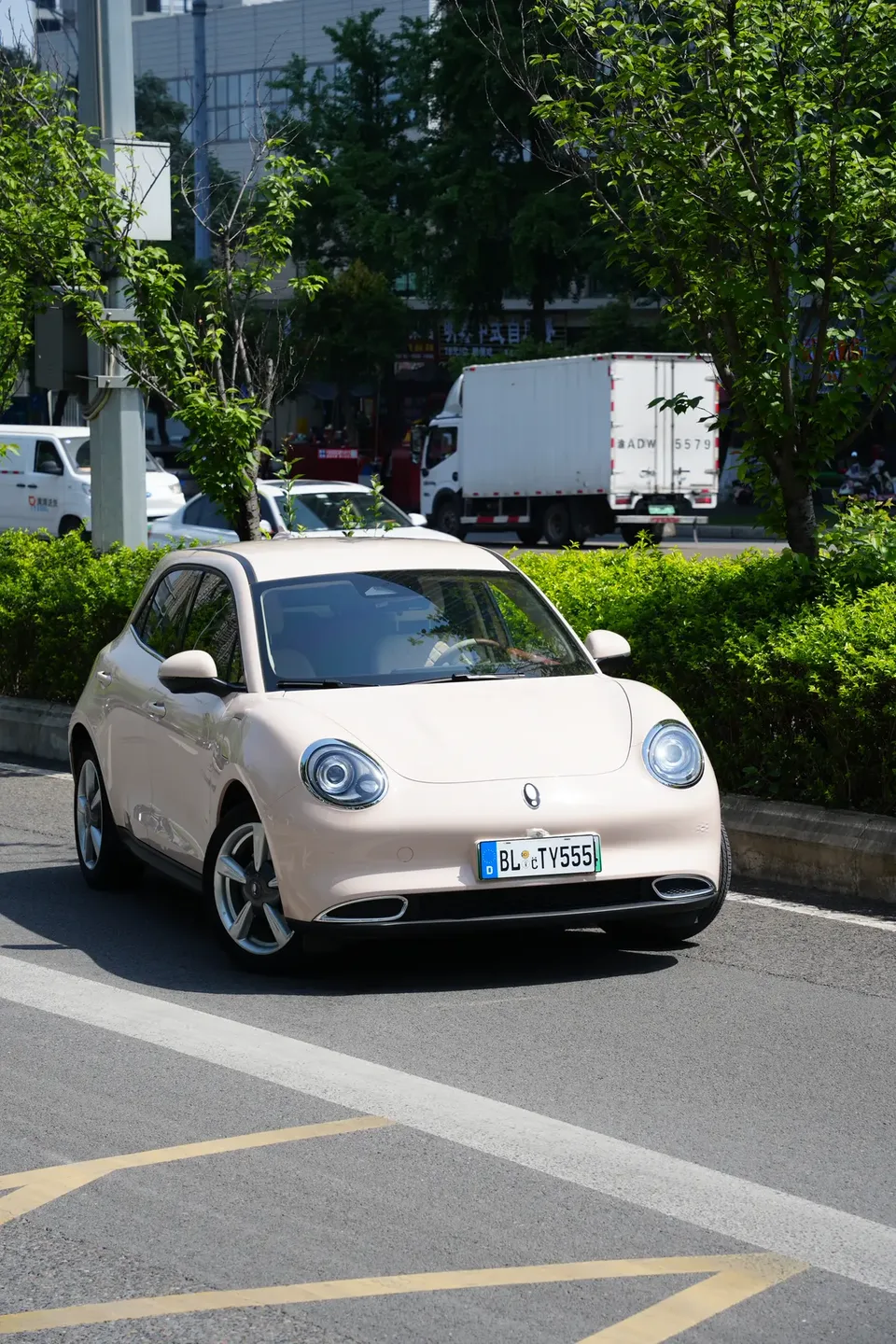 ORA Euler good cat 401km standard range luxury lithium iron phosphate 2023 — миниатюра 2