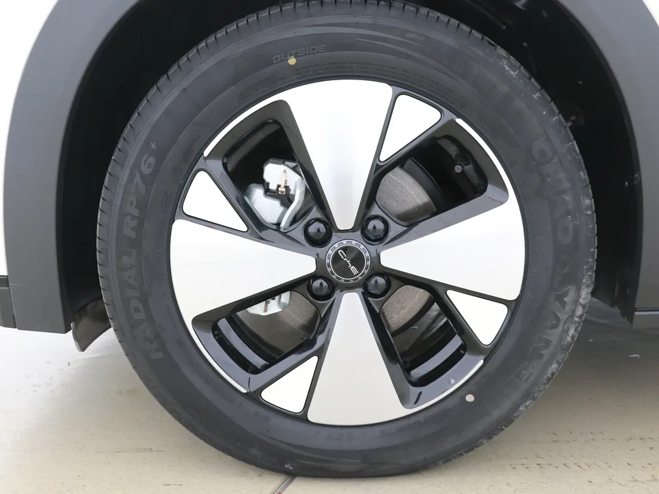 BYD Dolphin Dolphin 2023 Free Edition 2023 — миниатюра 4