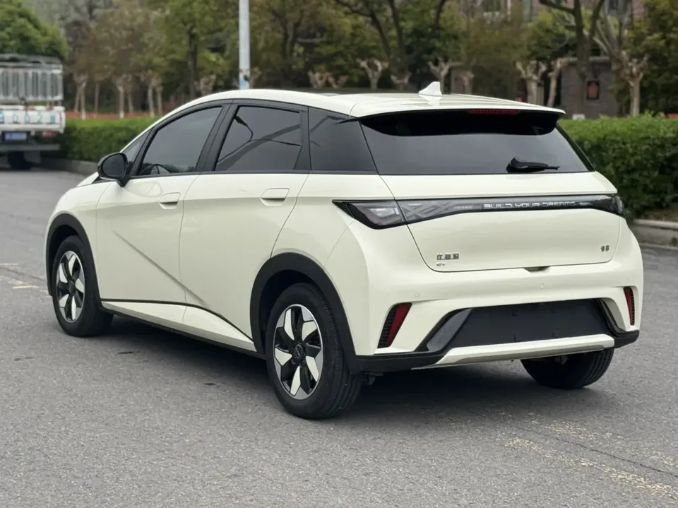 BYD Dolphin Honor Edition 420km Fashion Edition 2024 — миниатюра 2